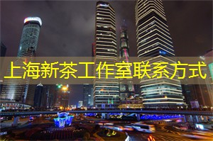 <strong>上海新茶工作室</strong>：聚焦上海骨干路网：解读发展演变与规划新方向——《上海市骨干路网发展演变及规划思考》专题讲座成功举办2025-02-28来源：市交通委字号：大中小
